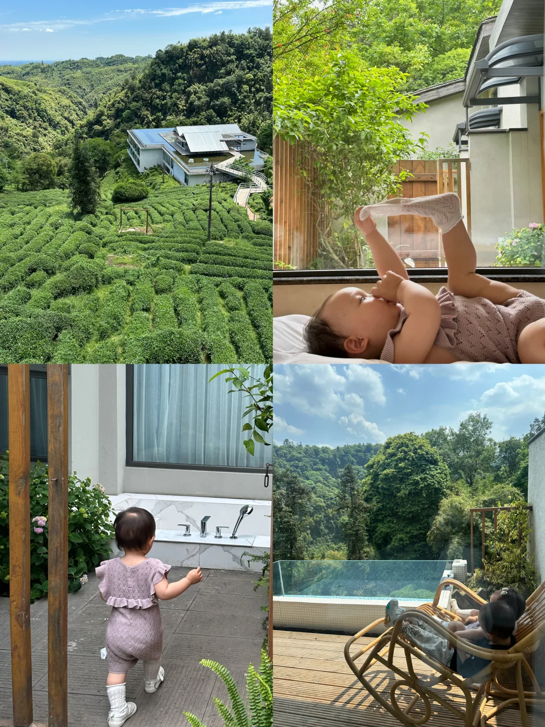 成都周边🌲几乎没人知道的避暑森林！吸吸氧