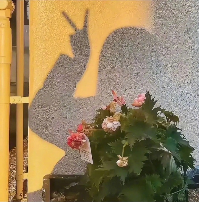减少依赖，降低期待 过顺其自然的日子， 做随心所欲的自己。 ​​​