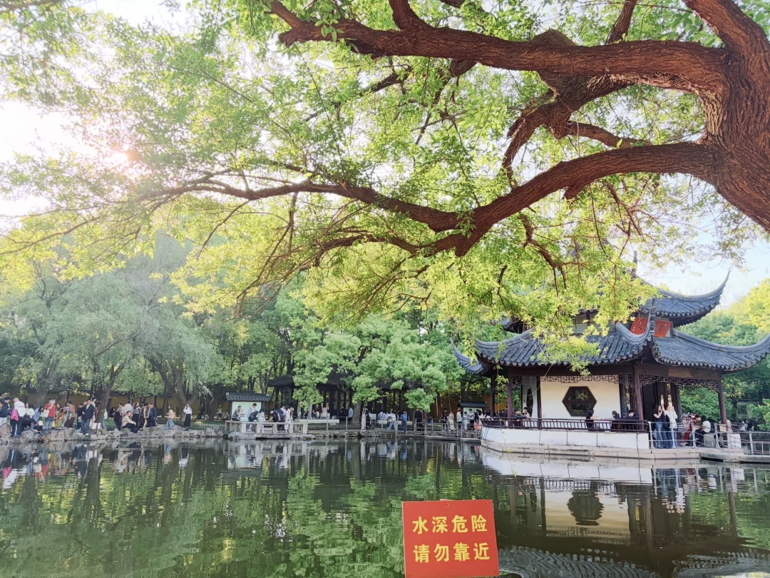 我见留园如此可爱～