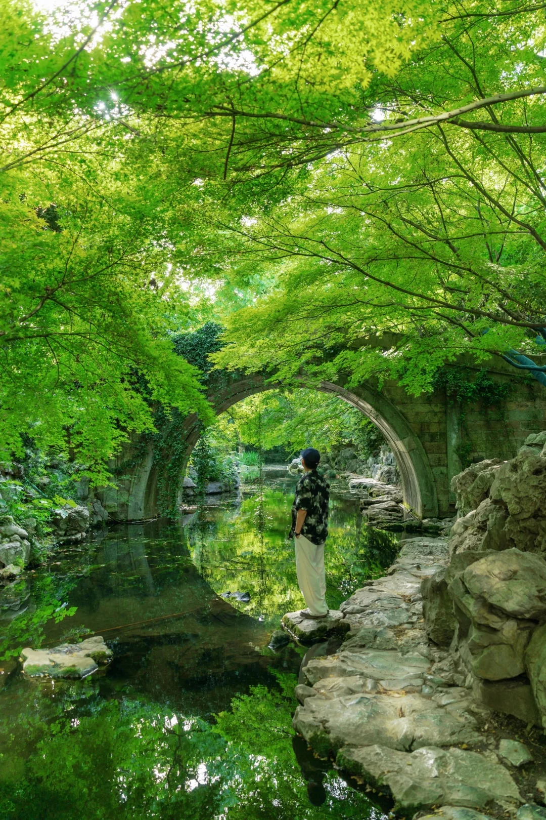 杭州不愧是个喜木的城市🌳
