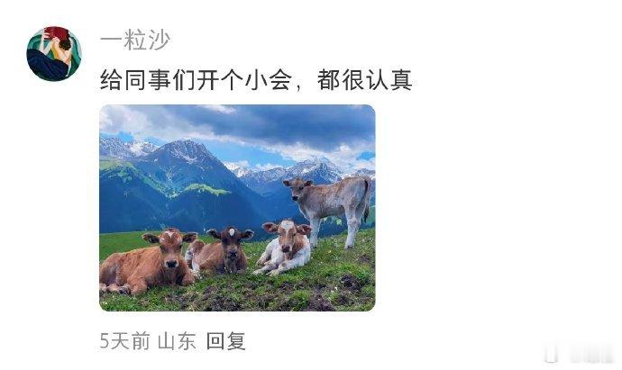 在草原和同事对齐颗粒度 ​​​