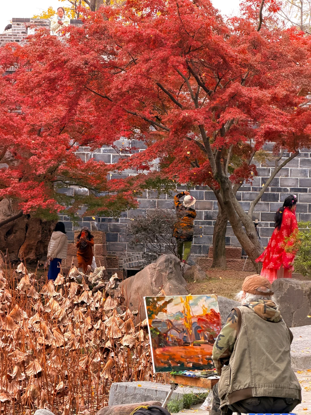 人生建议：离开成都前一定要去一次！！！！