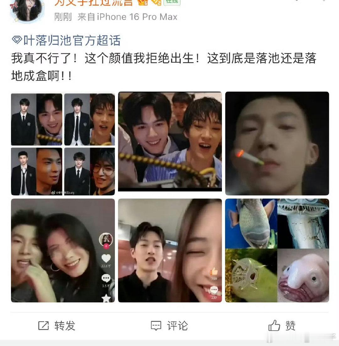 咋的，这么丑，谁下的去口
我反正看了辣眼睛 ​