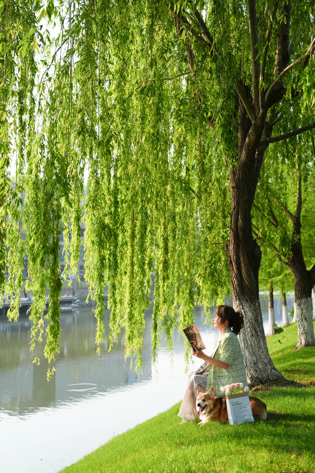 i人自洽方式：关机，断联，拍照，旅行