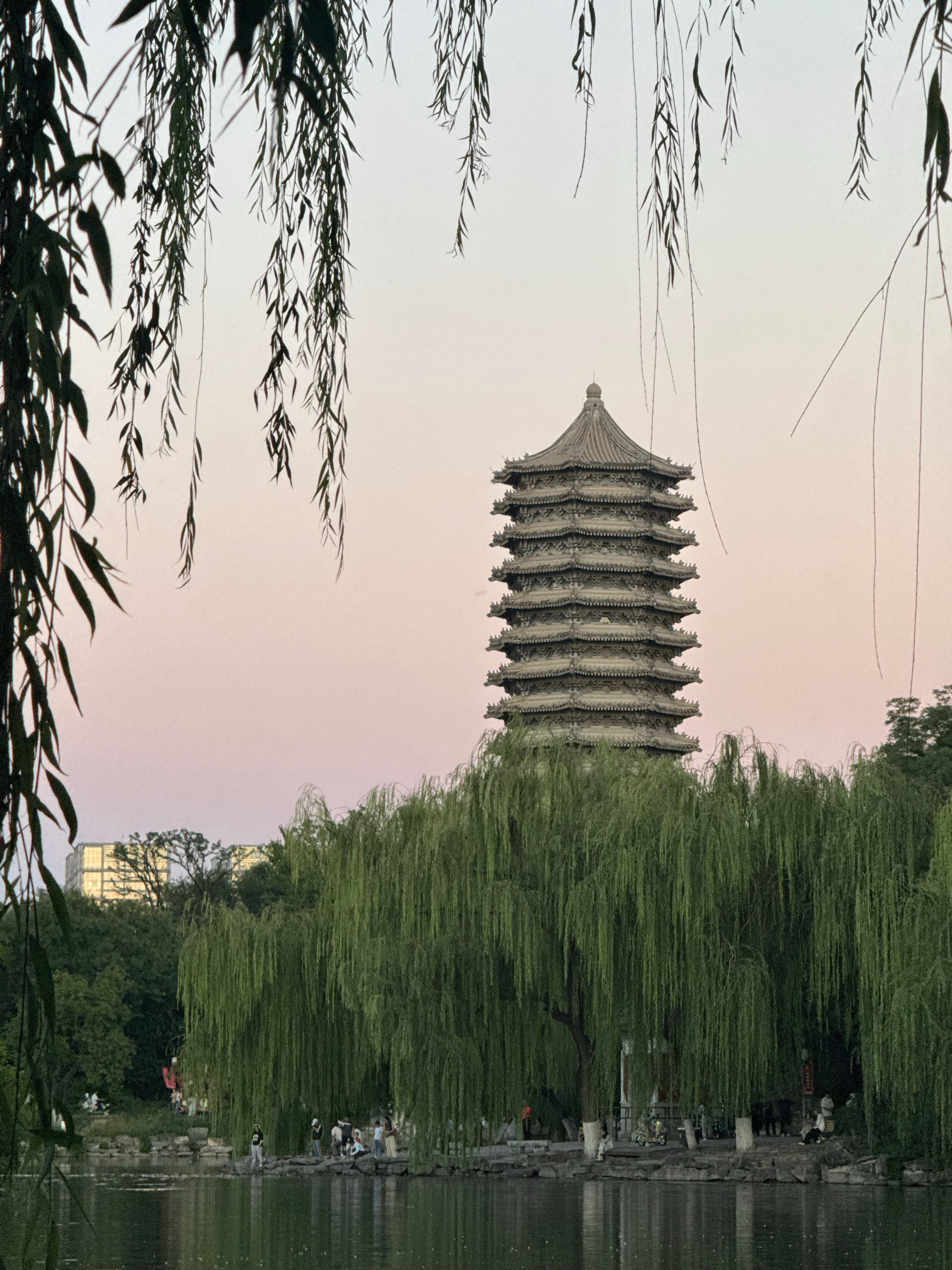 开学第一周！好好珍惜最后一年在北大的日子惹😢校园v计划日常 北京·北京大学