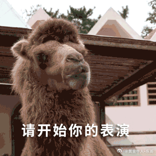 早上好朋友们🌞🌞🌞

新的一周，点燃梦想的开始！🔥愿屏幕前的你，每天都有个好心情！不知不觉，愉快的两天周末就过去了，该战斗的日子，咱都打起十二分精神，认真干！不多啰嗦，今天周一，东哥已经把本周的操作布局都备好了，就等着你一起加油。开启懒人模式，动动手指，享受躺平服务！

 ​