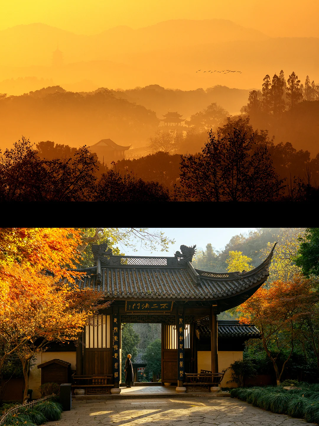 我用哈苏，把深秋杭州拍成电影里的江南。