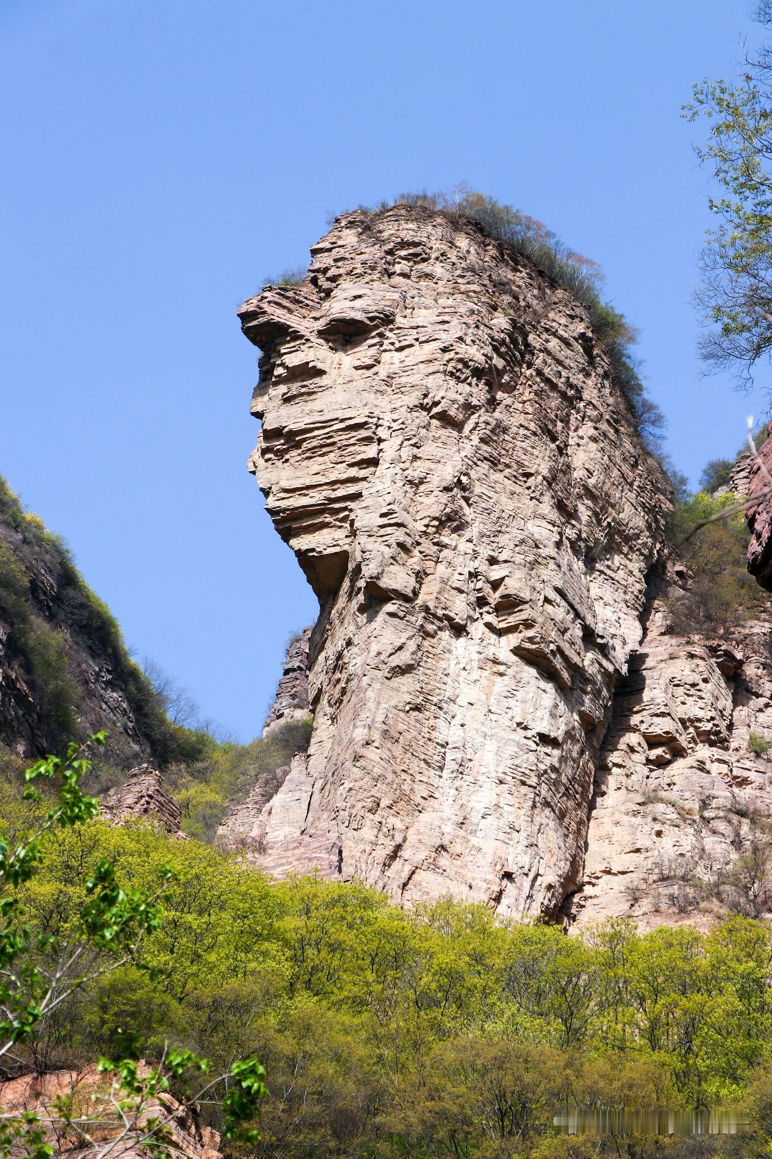 很高兴能获得胜利