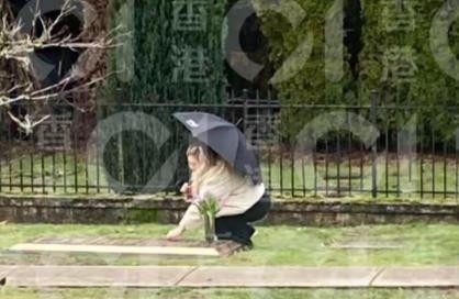 母亲把能堵的漏洞全堵了
沈殿霞生前把6000万港币装进信托基金，郑欣宜是唯一受益人。条款写得很硬：35岁之前每月固定领2万生活费，剩下的锁死。那年郑欣宜19岁。一个躺在病床上的母亲，想的不是女儿以后怎么花这笔钱，想的是谁替她拦住那些想动这笔钱的人。信托保护人名单里填了郑少秋，填了陈淑芬，填了张彻太太