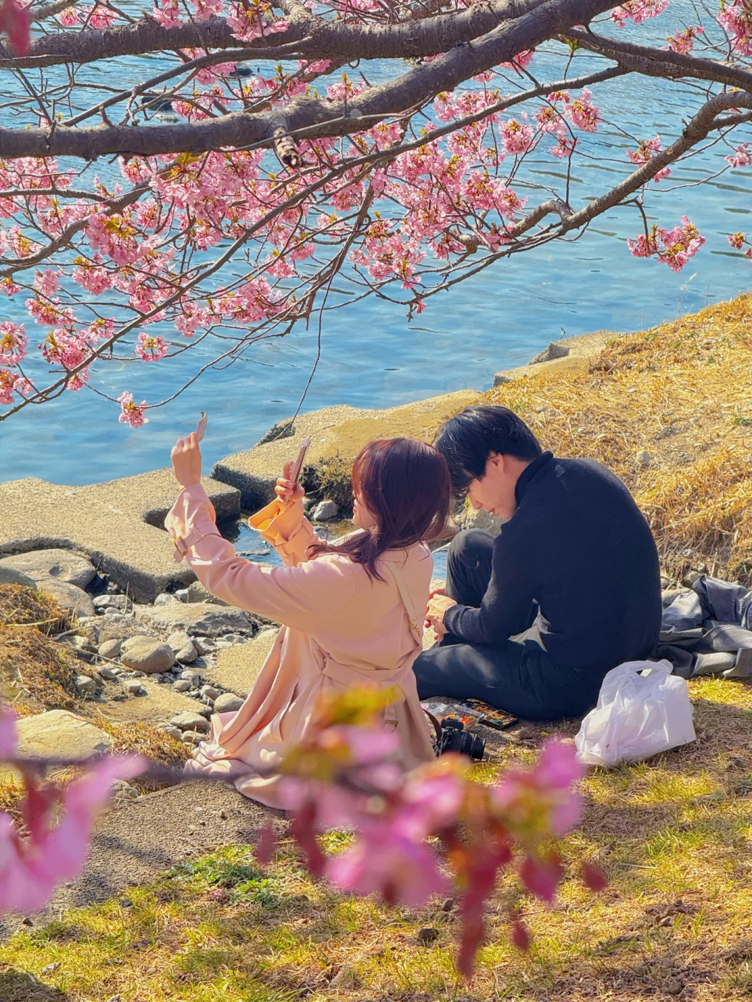 原来日本动漫里的场景是真实存在的‼️