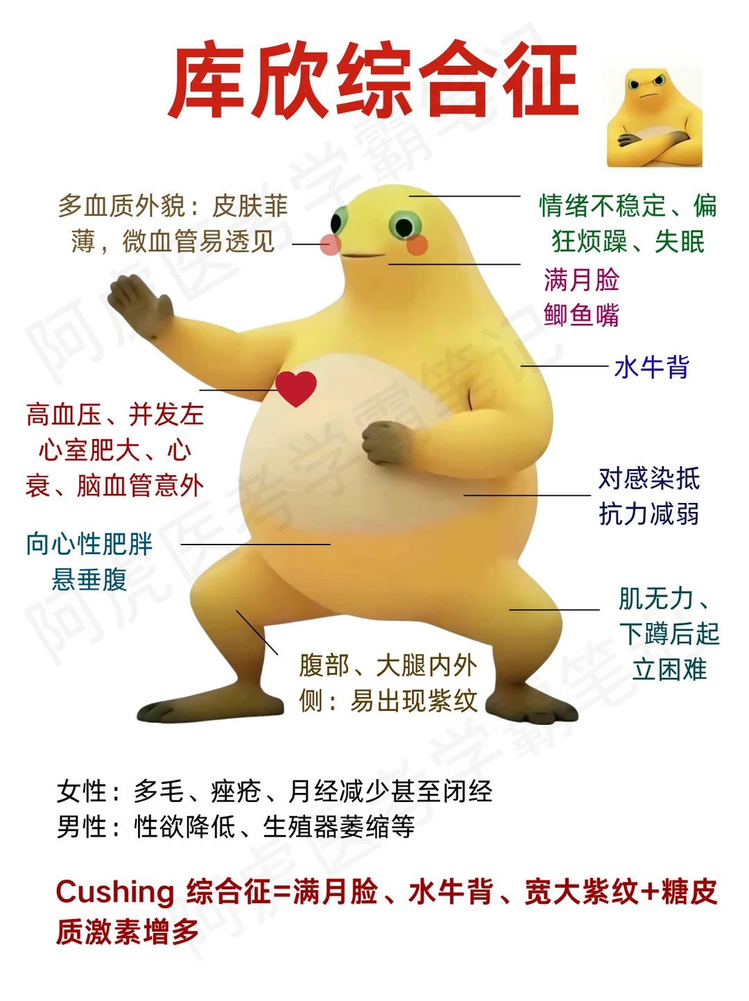 阿虎医考笔记📒库欣综合征❤️