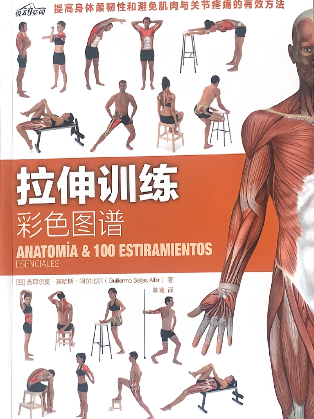 分享学习新的拉伸训练