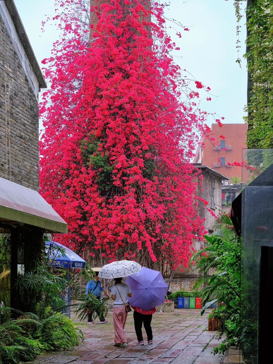 在佛山❗️我想没有人能拒绝一个开满花的烟囱