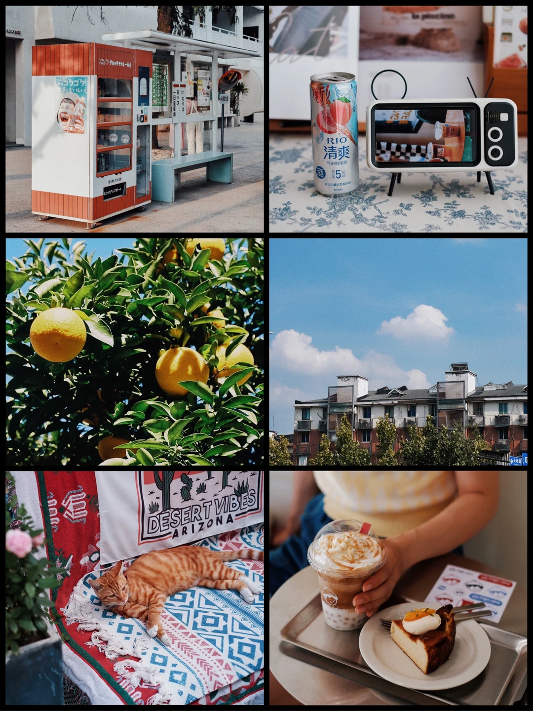 秋天记录🍁日系胶片感滤镜也太有质感了