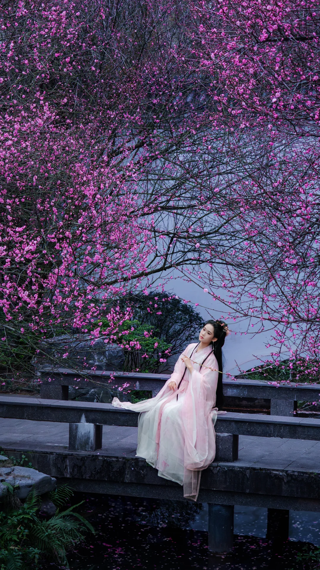 这梅花太绝了，今年青秀山的封神照又有了