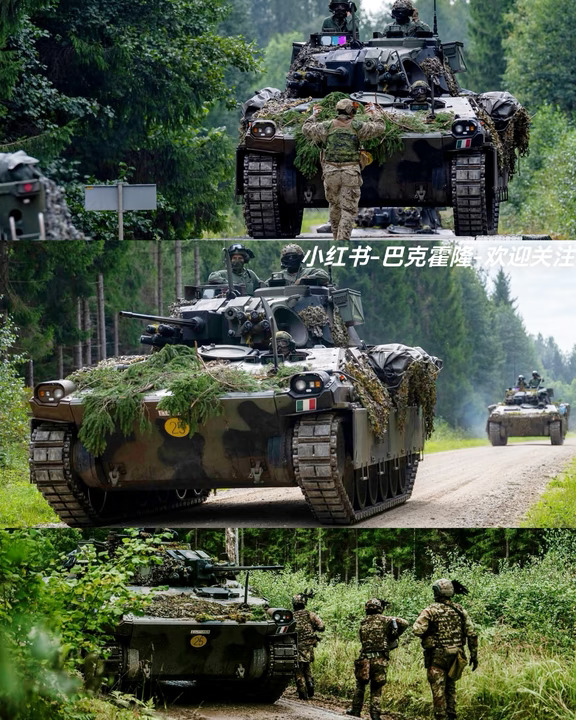 林中的罗马铁骑，意大利陆军在拉脱维亚