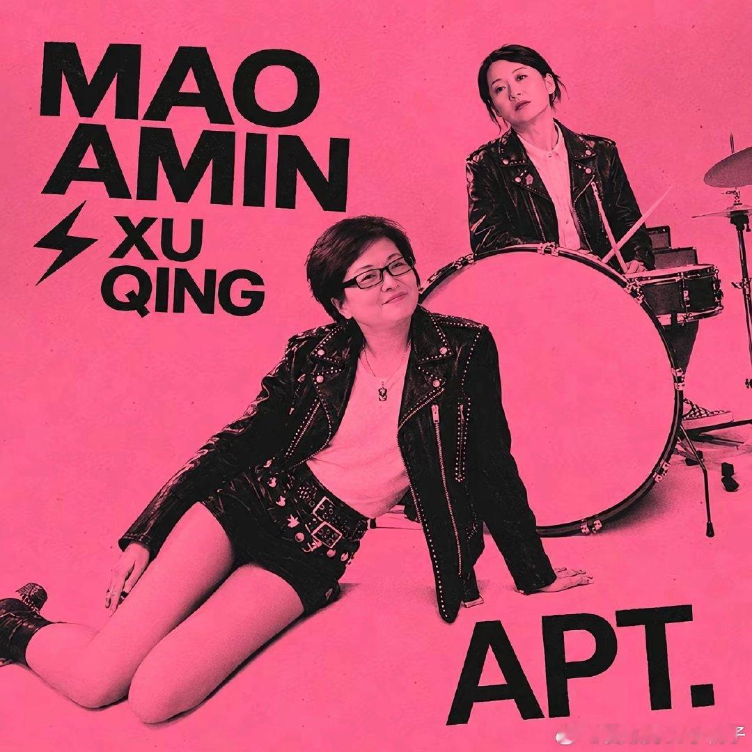 APT 但许晴与毛阿敏版 ​