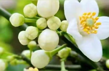 好狠毒的渣男！都是小三惹的祸！