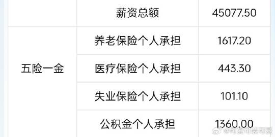 今天巨搞笑，体会到了人怎么能捅这么大篓子。薪资中心给所有人薪资都搞错了...