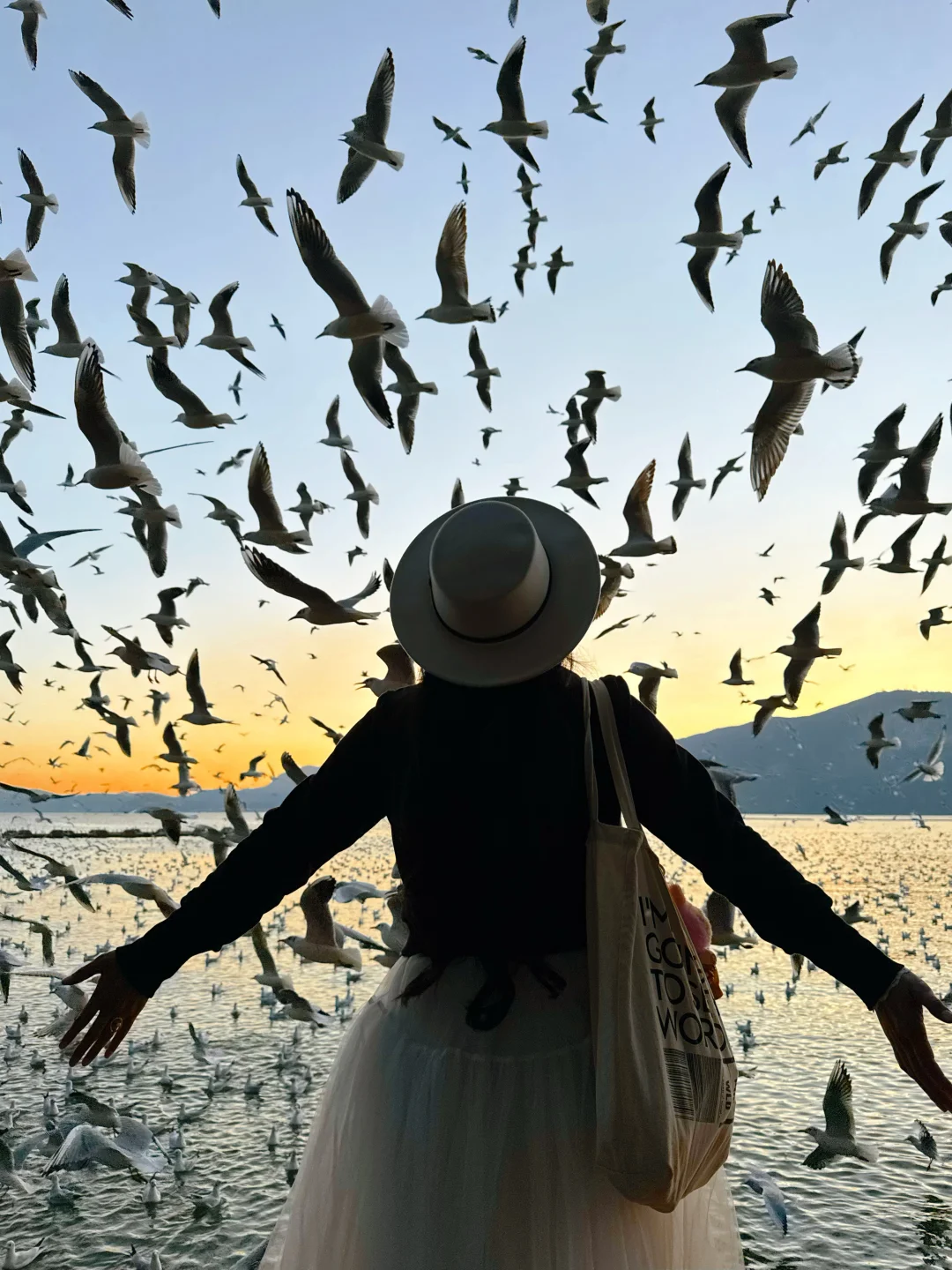 live图！此刻好羡慕昆明人，海鸥日落太美了❗️