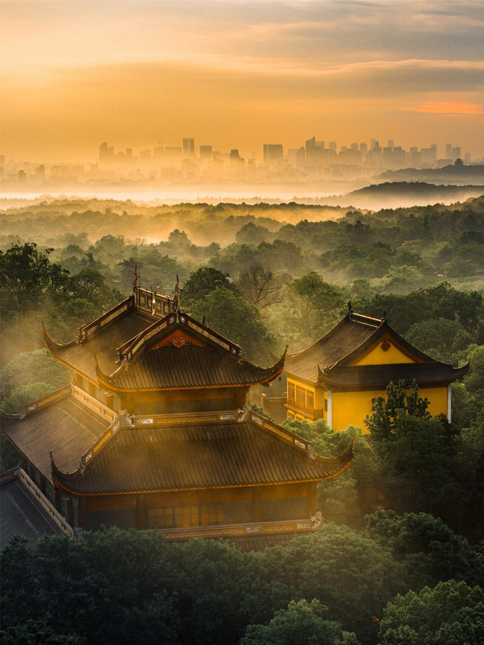 同一个地球，为啥中国神权从来压不住皇权？

同样一块大地，东西方走出来两条完全不一样的路。

五代的时候，周世宗柴荣曾经大举灭佛。很多人以为，这只是皇帝讨厌和尚。其实这背后藏着中外历史一条巨大的分界线。

从北魏太武帝、北周武帝、唐武宗，再到后周世宗，历史上叫作“三武一宗”。历朝历代，一旦寺庙土地太