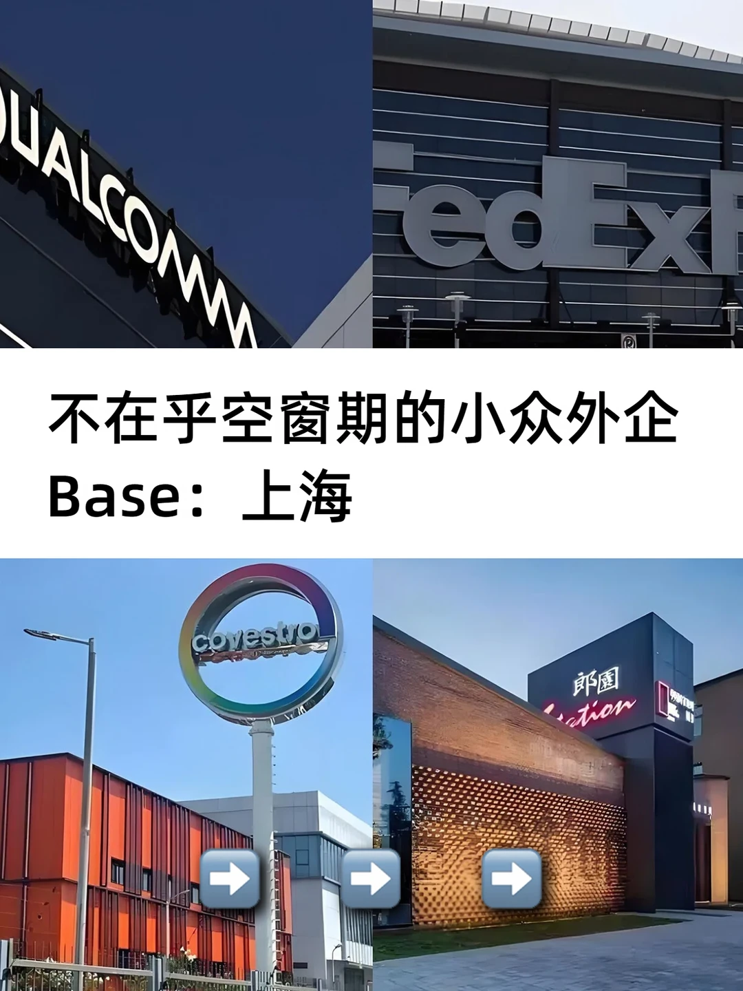 不在乎空窗期的小众外企 Base：上海