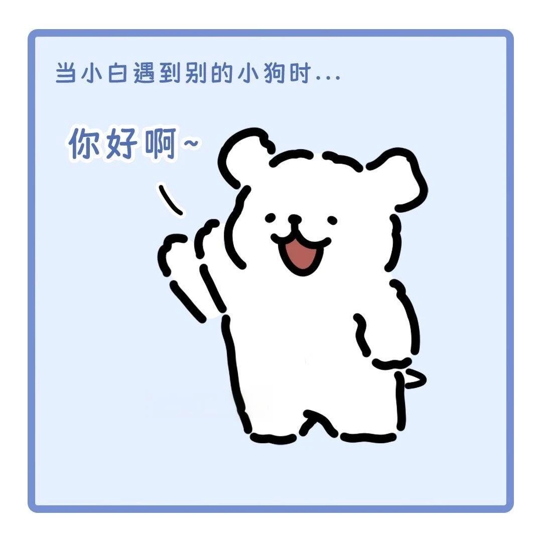 爱吃醋的小鸡毛～