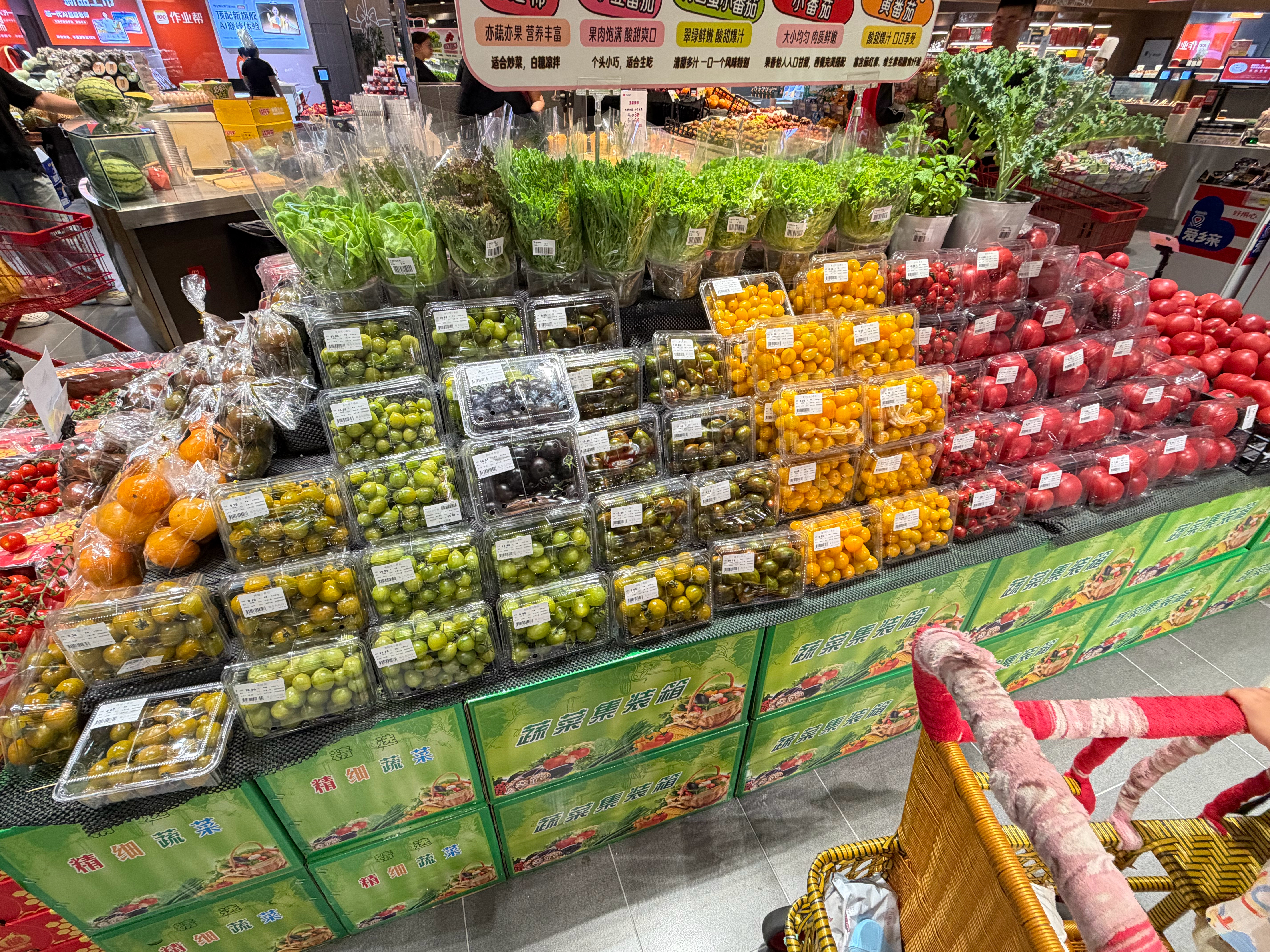 现在的小番茄种类真多啊，一眼望去，五颜六色的[哈哈] ​​​