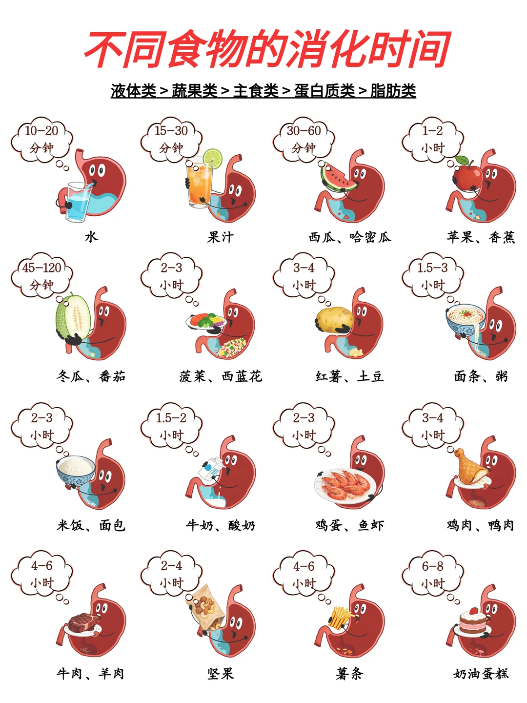 食物消化时间表🔥吃对节奏，肠胃更轻松❗