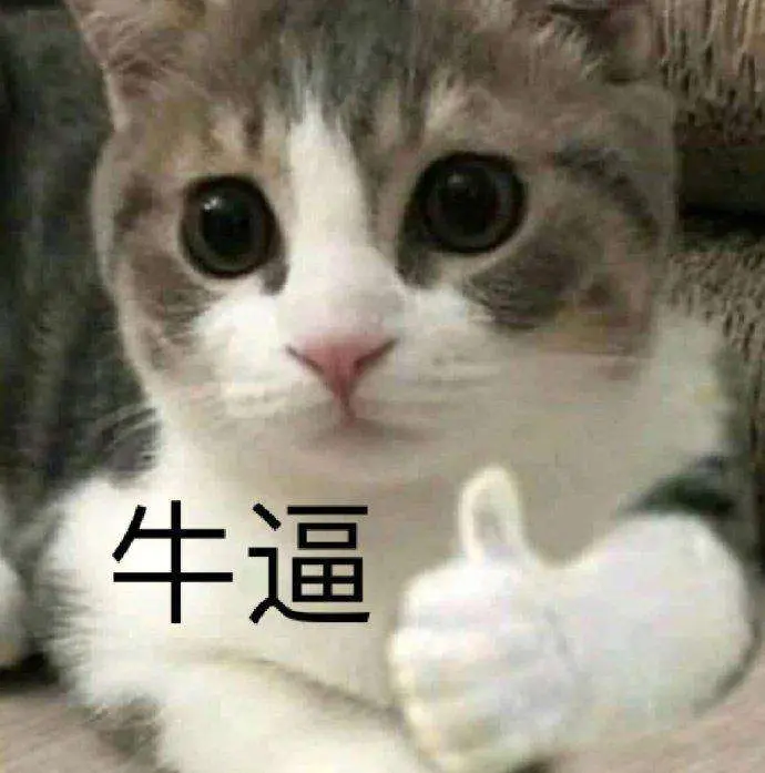 莫迪的牛逼，是人们对他信任的负资产，终身有效！