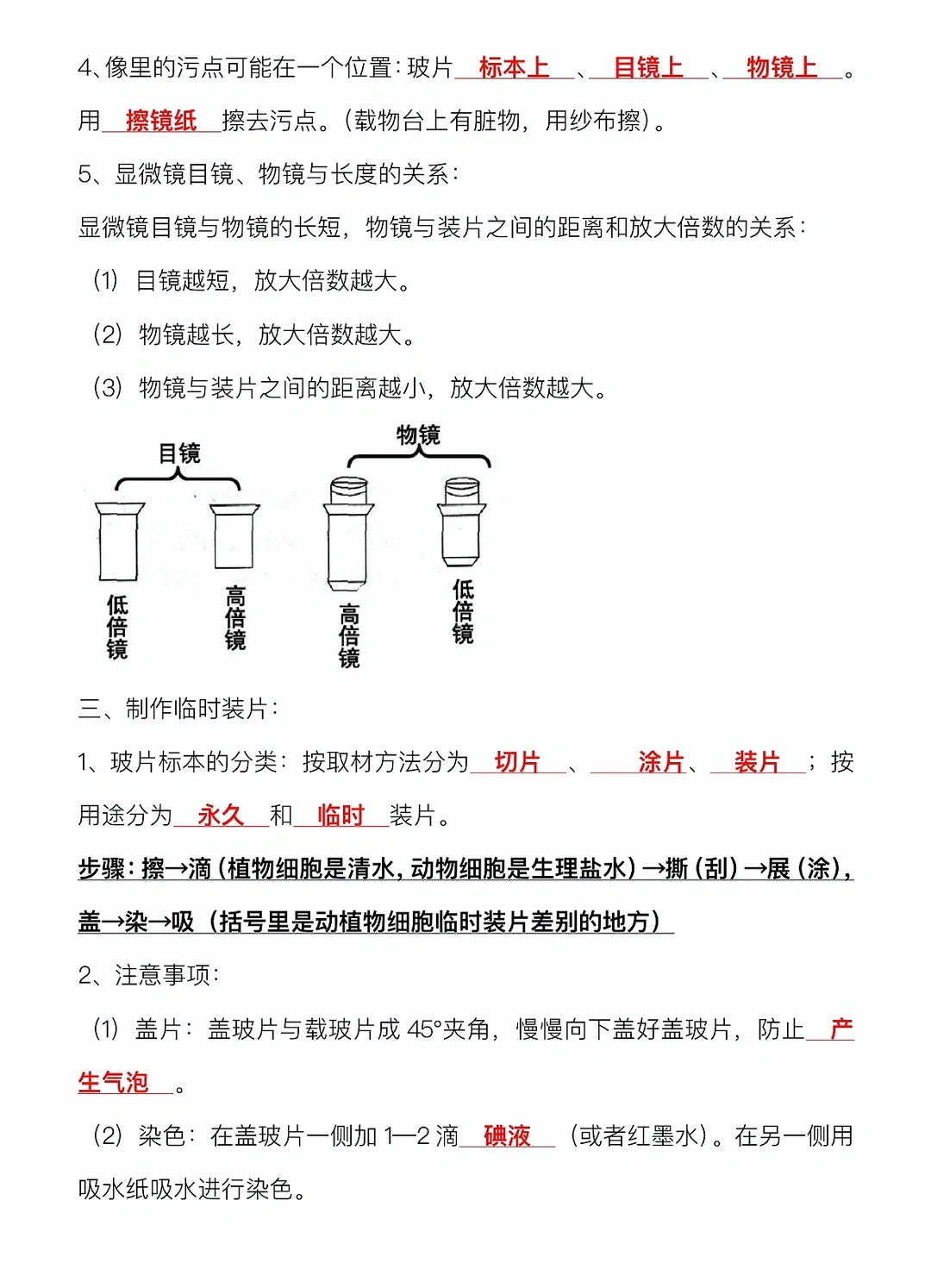 人教版七上生物，知识点汇总‼️