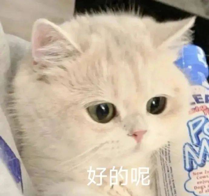 [超话] 晚安 ​​​