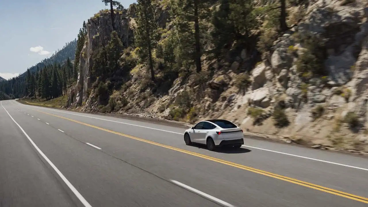 Tesla Model Y Standard ​