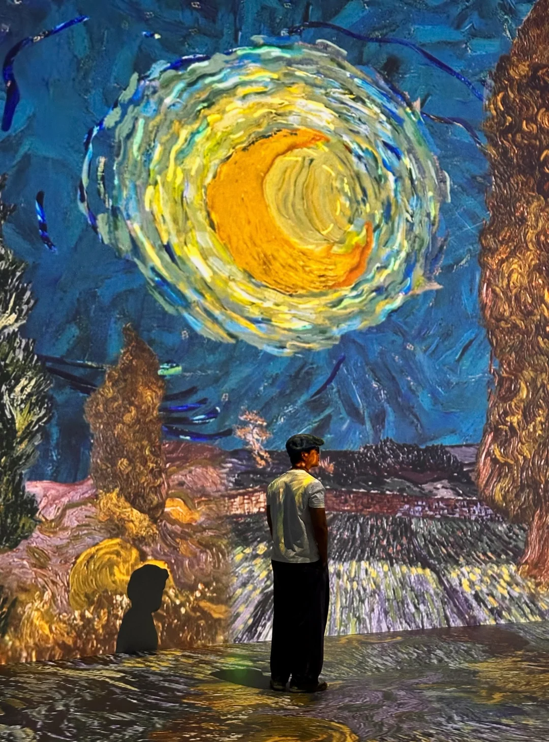 广州新展｜走进梵高的油画里，治愈整个夏天🌻