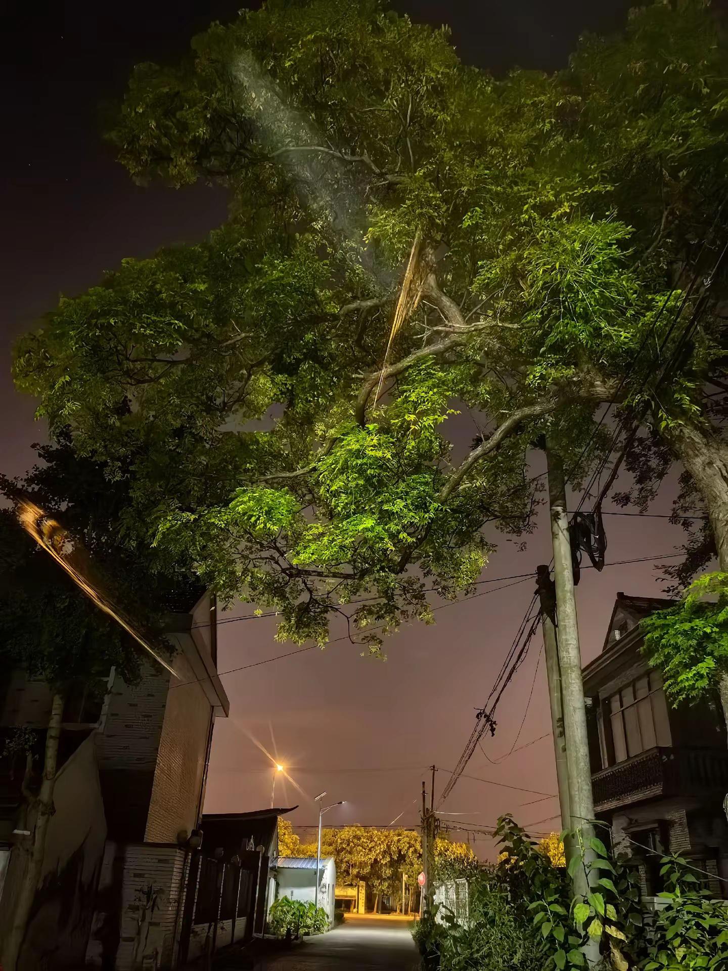 🌻: 谁一生还还还不犯点错误啊！犯错误就改，改完再犯呐！犯完还改，改完再犯，千锤百炼吧❤！夜行小径  赵本山 范德彪 马大帅