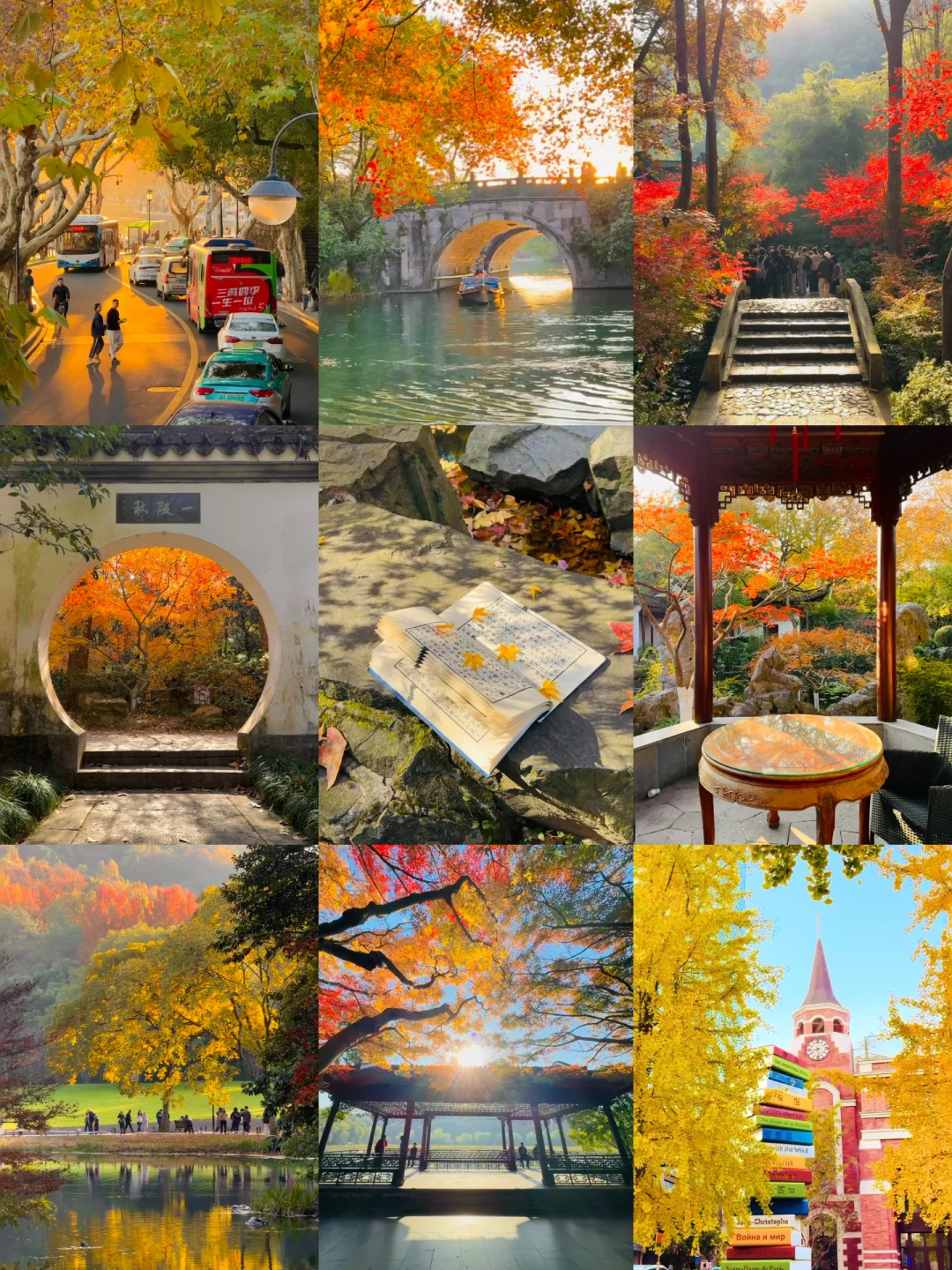 杭州终于降温了‼️接下来是封神级别的秋天了