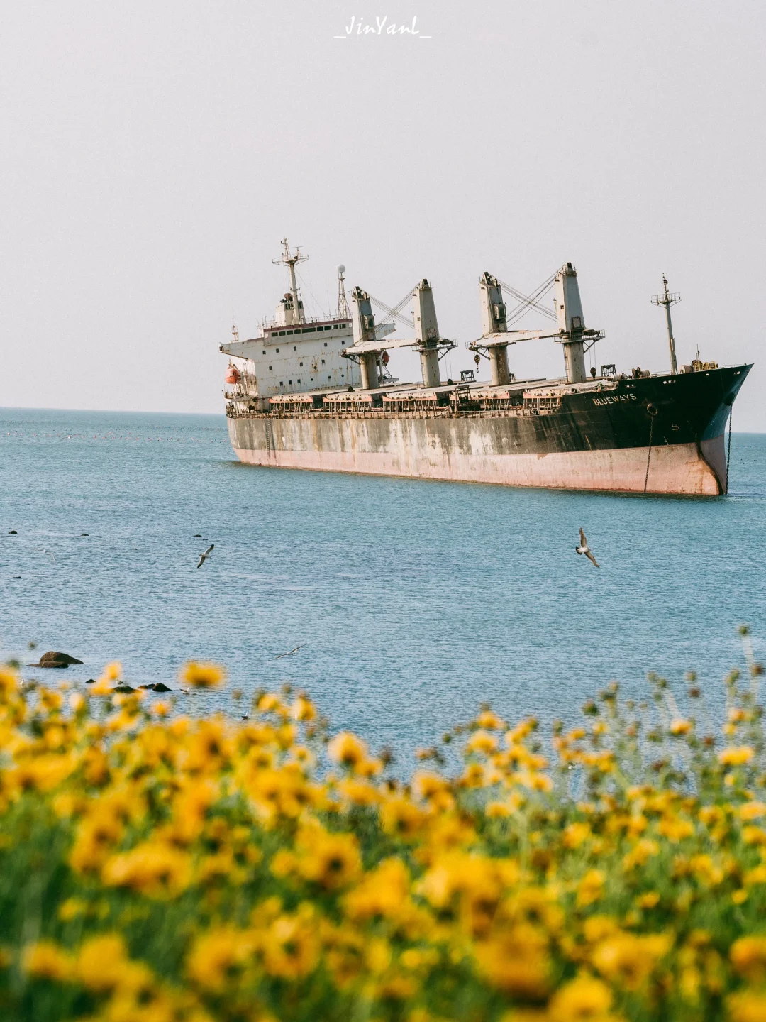 后悔才来这个获过联合国人居奖的海滨城市‼️