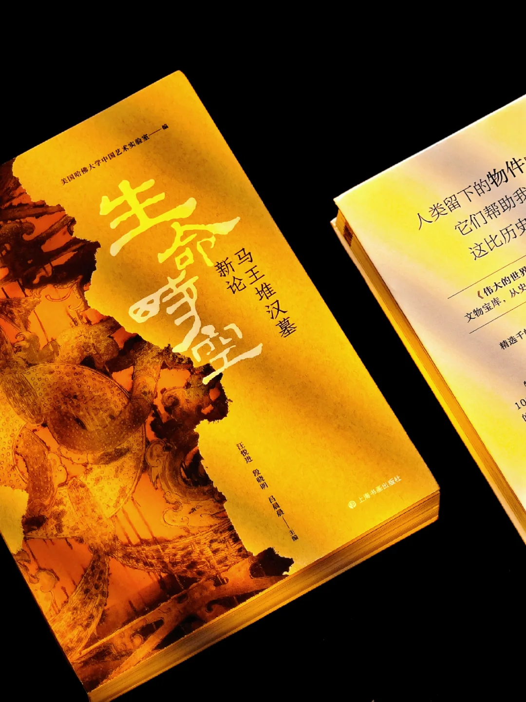 哈佛大学解密：原来你是这样的马王堆？！