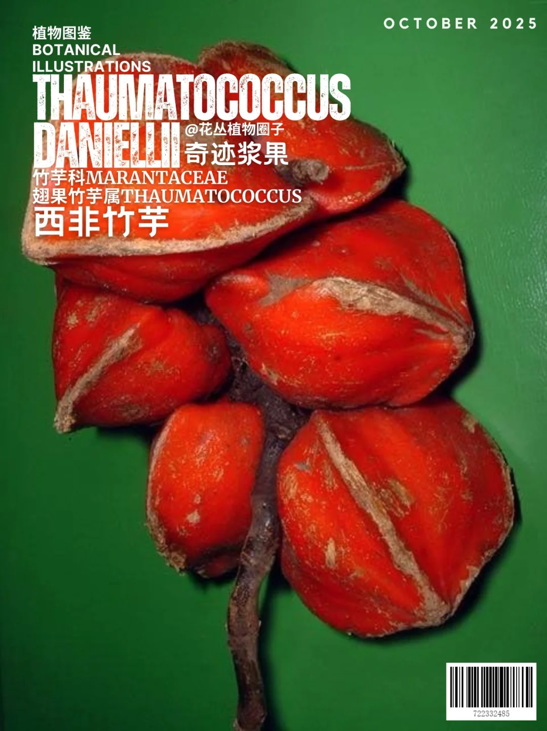 奇迹浆果Thaumatococcus daniellii
