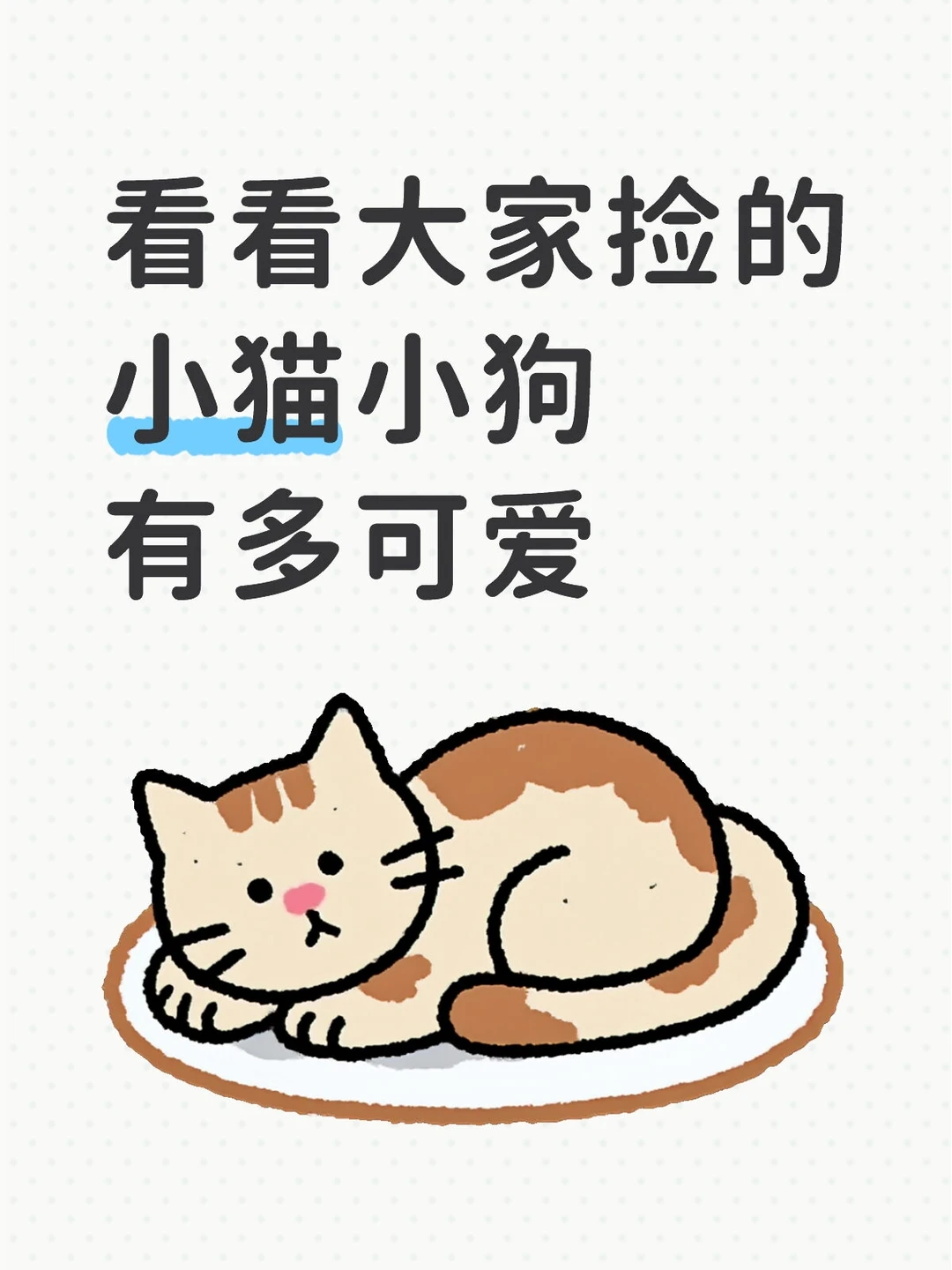看看大家捡的小猫小狗有多可爱