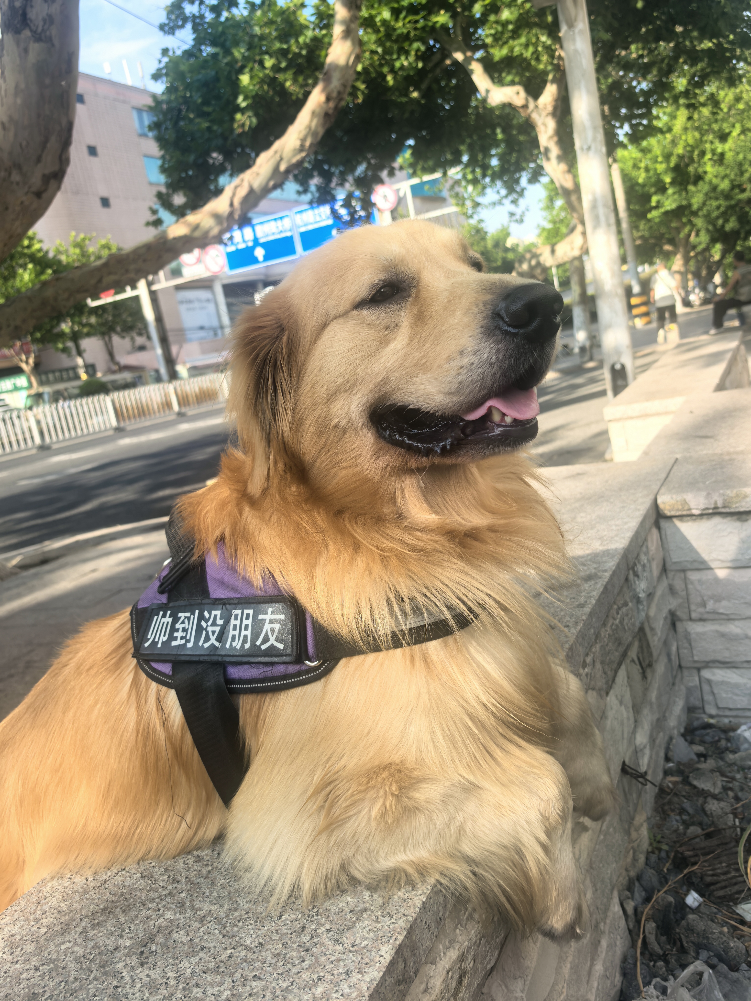 为什么小米造不出高端手机? 小米造不出高端手机，问题可能出在产品定位和策略上。每次小米发布旗舰机，宣传重点都在高通骁龙旗舰芯片、硬件配置、材料工艺等方面，硬件堆料很足，对极客用户吸引力大，性价比超高。但对普通消费者来说，缺乏让人愿意掏钱的情绪价值。
去线下店看小米 17 Pro Max，外观和质感已