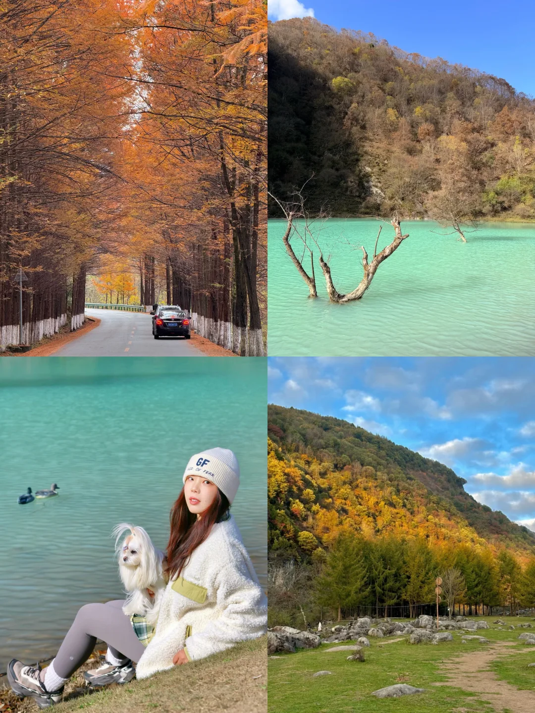 西安开车直达的赏秋路线🍂秋日浓度已99%！