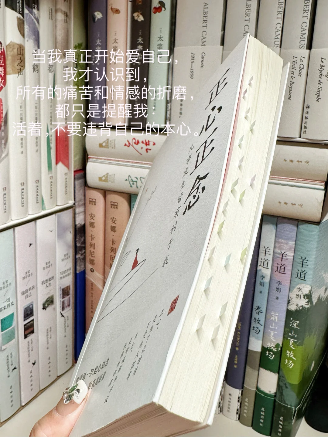 庆幸在2024的开始就读到了这样一本好书！！