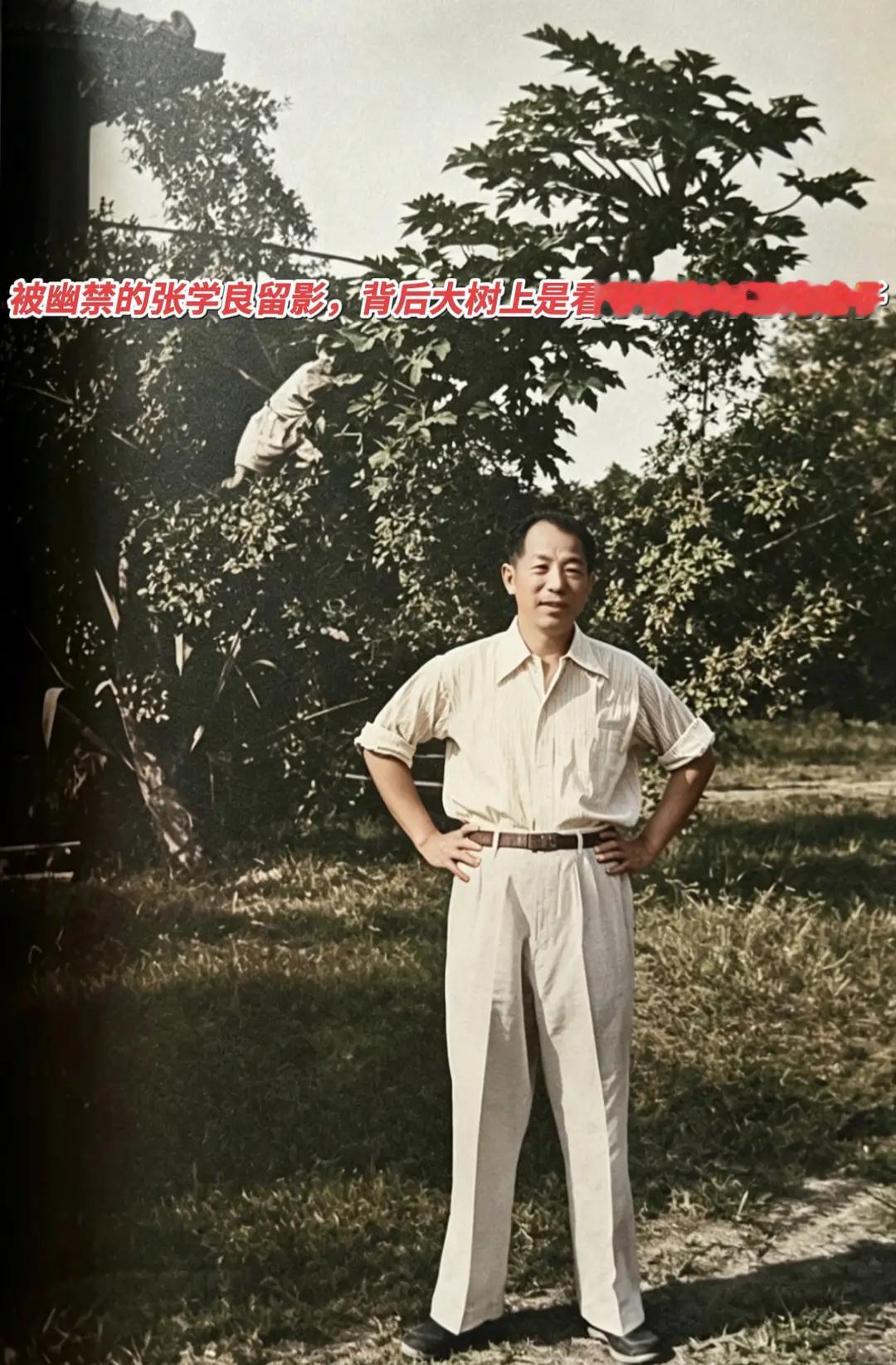 张学良被长期软禁在台湾期间的一张有故事的照片。

大家注意看照片，后方大树上有一个少年，他是负责看守张学良的特务刘乙光的儿子，无意中入镜，他趴在繁茂枝叶间，这一细节很耐人寻味，即便拍摄一张私人照片，监视也无处不在。一张普通照片，暗含着历史的压抑与无奈，是非常有故事感的纪实老照片。