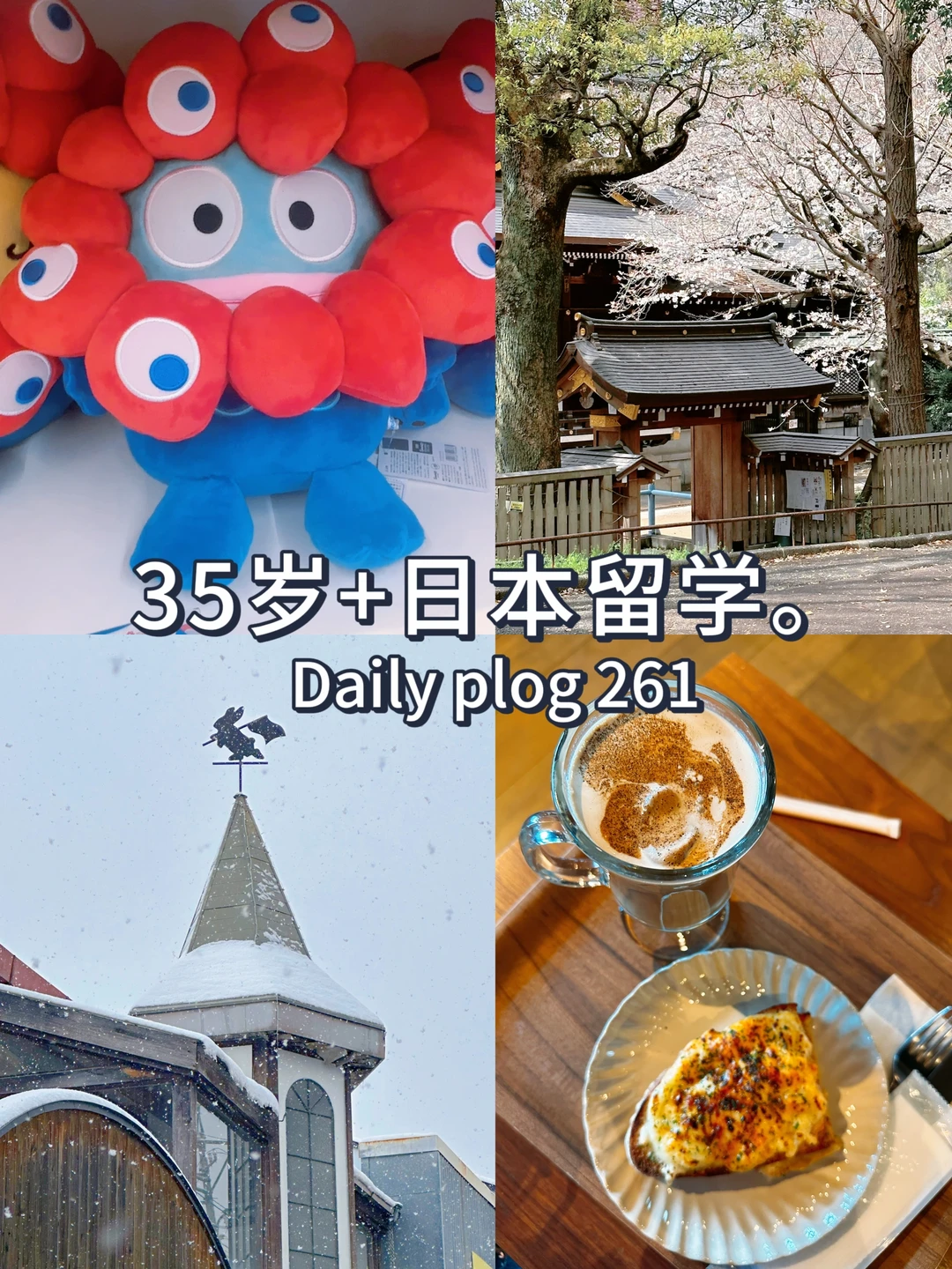 35岁+日本留学✈️换个环境的生活真的很好