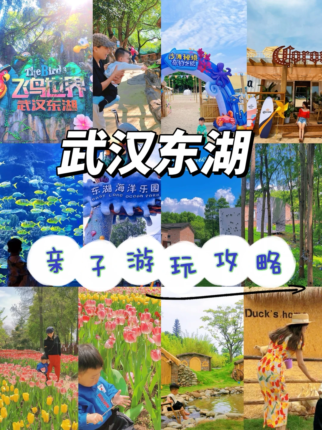 新春亲子出行｜带娃游东湖这篇攻略请码住‼️