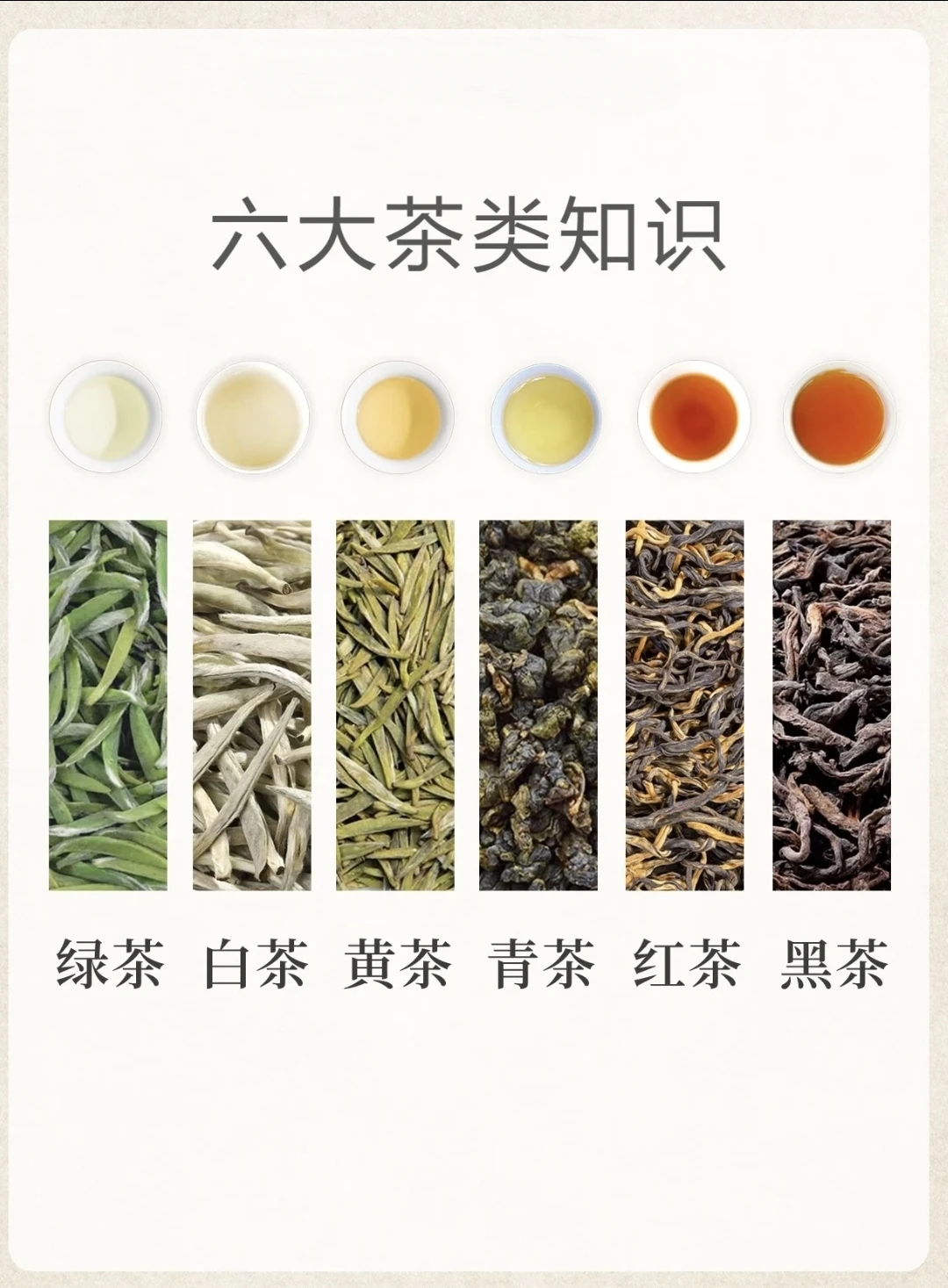 中国六大茶系全解析：看完就懂！