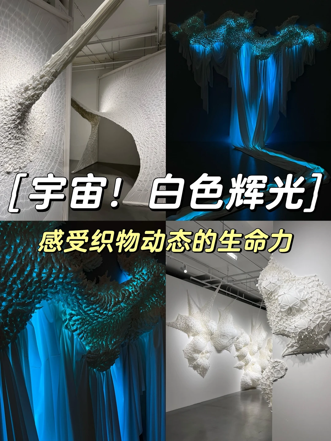 上海免费🆓新展‼️看星辰如何聚集成银河💫