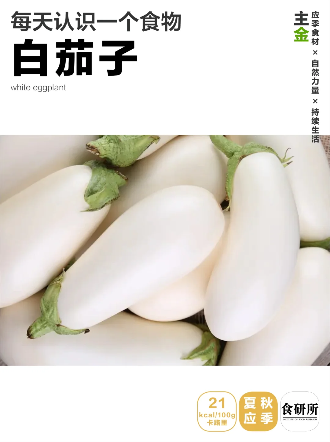 普宁豆酱金不换炒白茄子