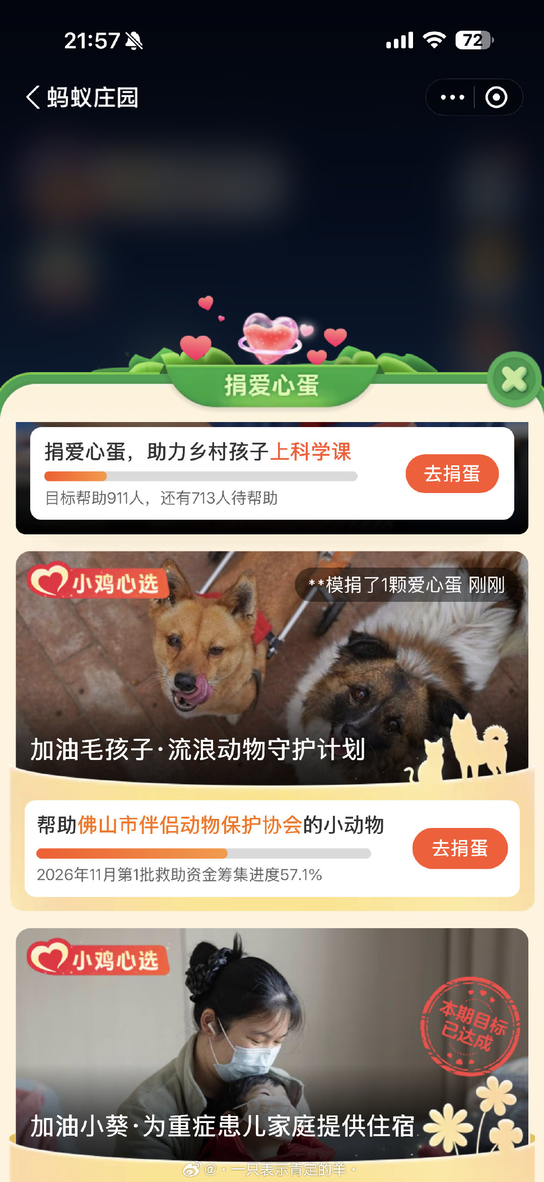 蚂蚁庄园这期有救助毛孩子滴！大家有玩小鸡的可以去捐🥚啦，我一口气捐了三百多个嘿嘿[奶牛猫] ​